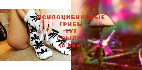 СК Абдулино
