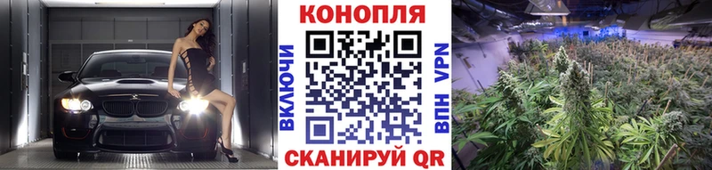 купить закладку Пудож Конопля ГИДРОПОН